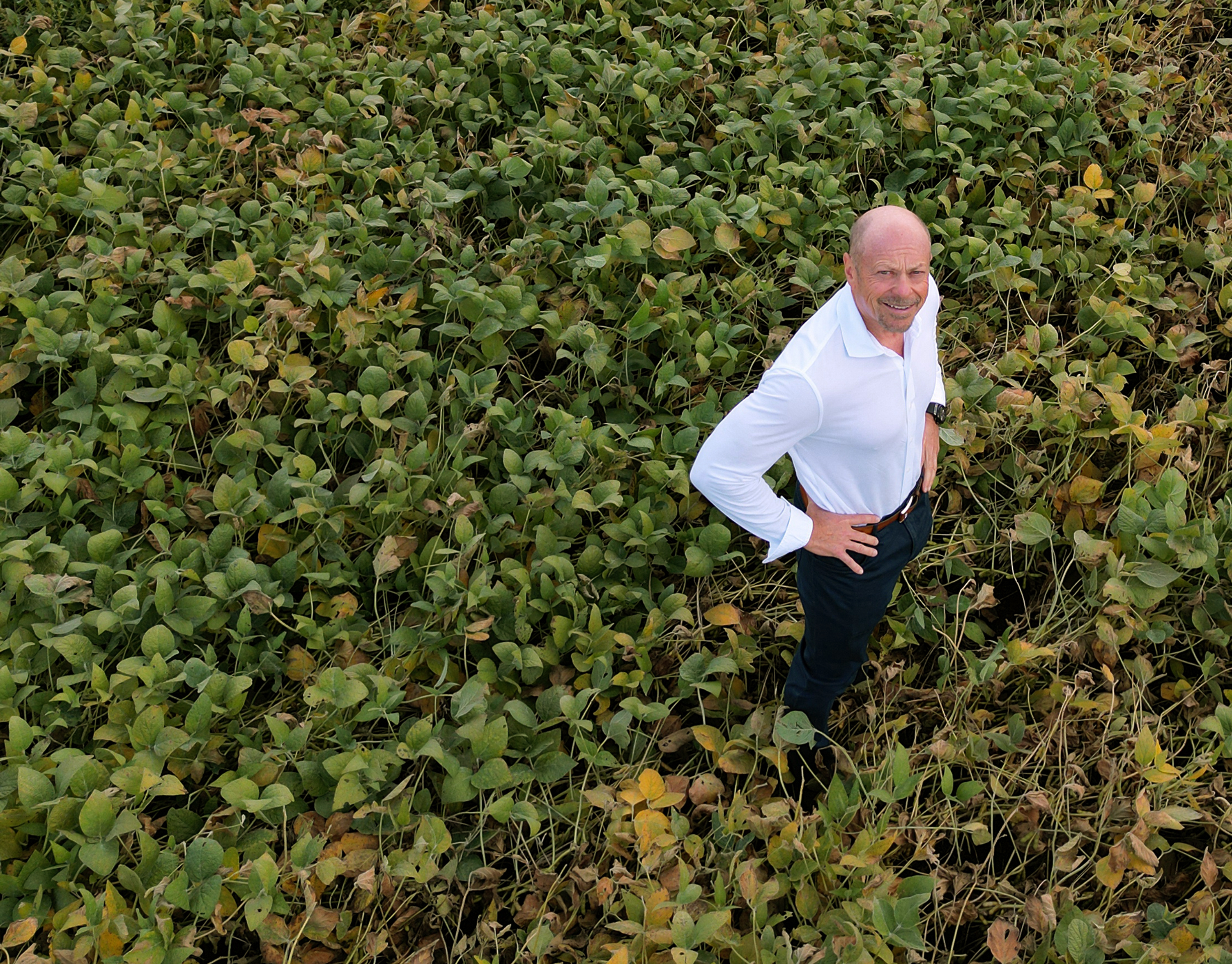 Mark Braun, CEO of Nuestro Queso, stands in a soybean field that uses treated wastewater from the company's factory for irrigation on Sept. 13, 2023, in Kent. Mark Braun, CEO of Nuestro Queso, stands in a soybean field that uses treated wastewater from the company's factory for irrigation on Sept. 13, 2023, in Kent.